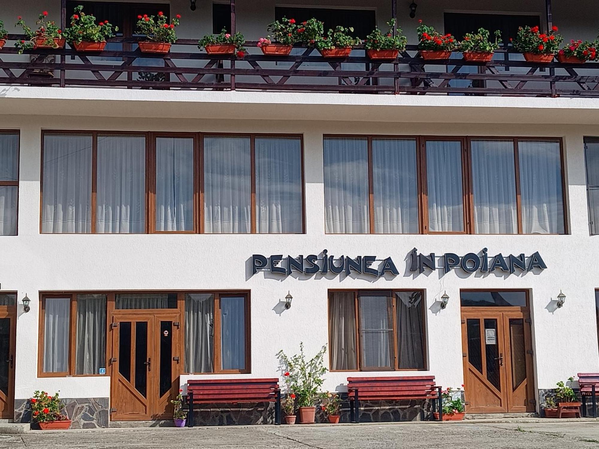 Pensiunea In Poiana Glod  Екстериор снимка